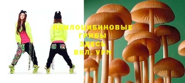 дживик Алексин
