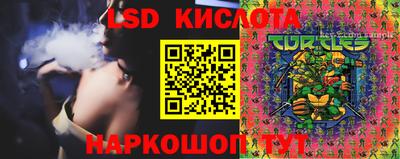 шишки Изобильный