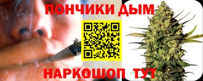 шишки Изобильный