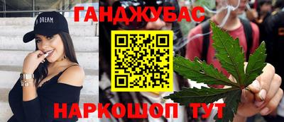 шишки Изобильный