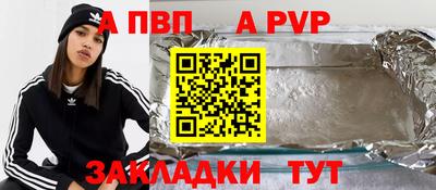 шишки Изобильный